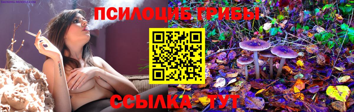 Сызрань  Псилоцибиновые грибы Psilocybine cubensis  Вход с VPN 